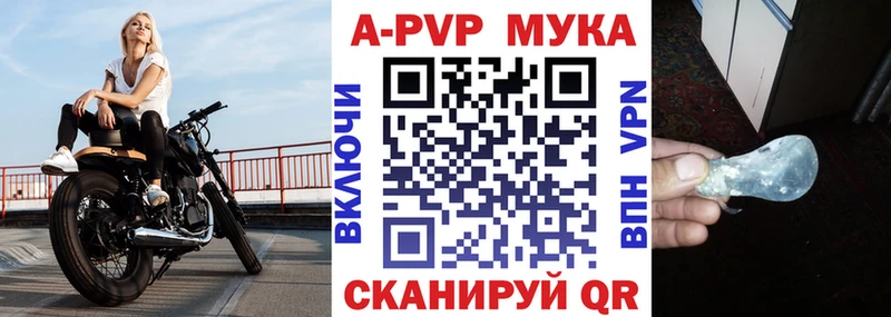 площадка клад  Ухта  A PVP СК 