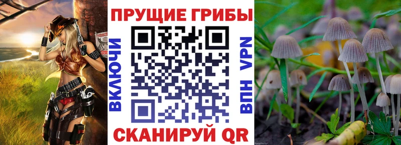 Псилоцибиновые грибы прущие грибы  Ухта 