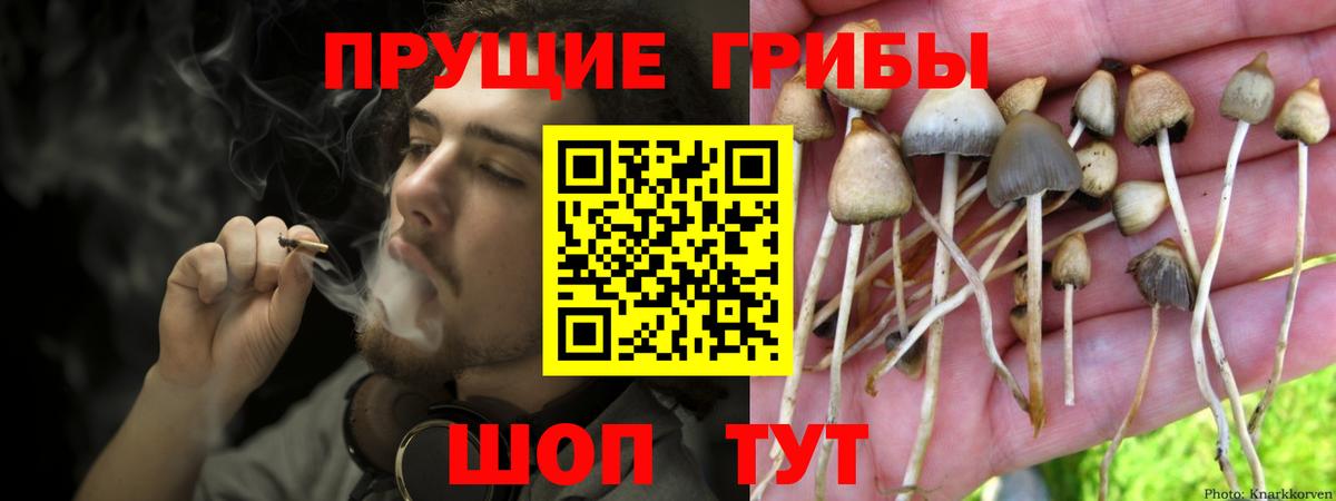 Ухта  Галлюциногенные грибы Psilocybe  Вход с VPN 